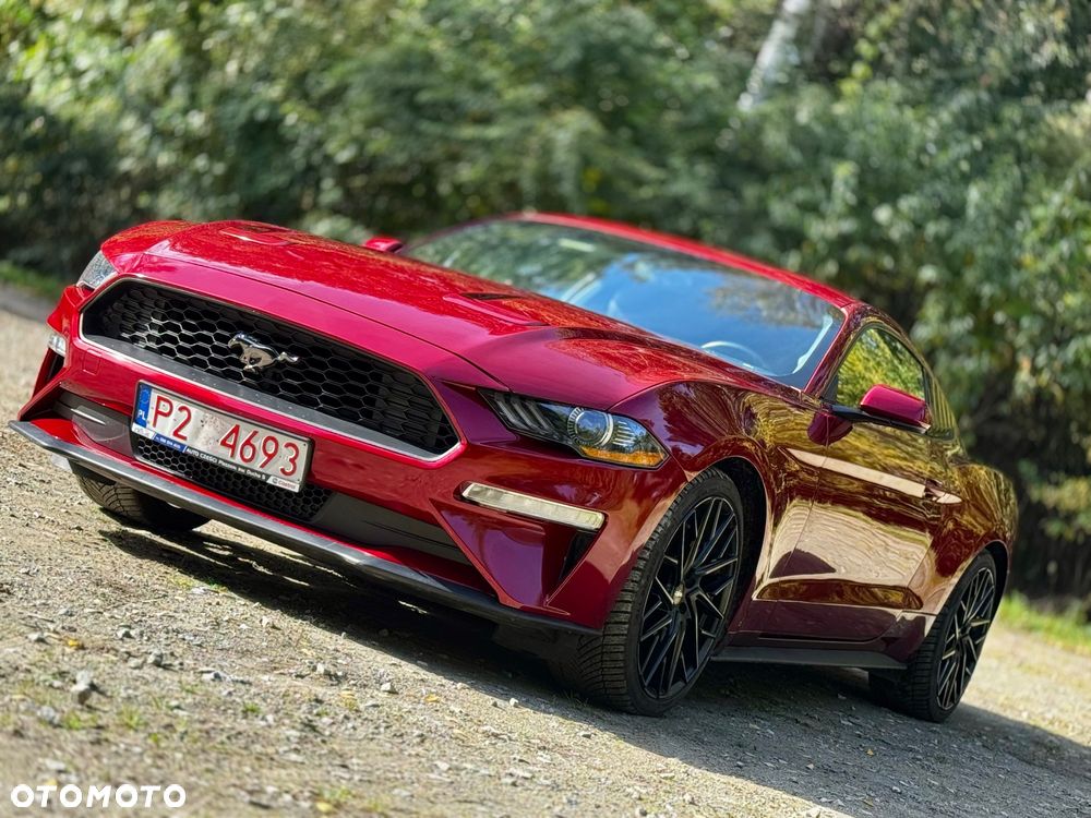Ford Mustang 2.3 EcoBoost - 19