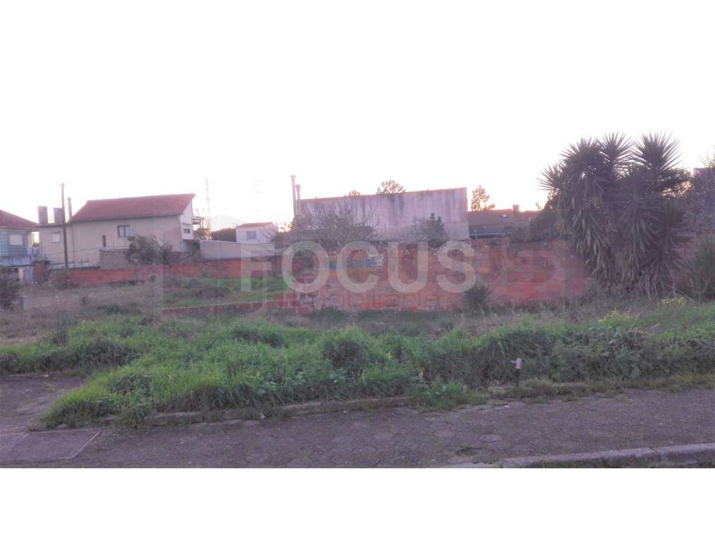 Lote de Terreno Gafanha da Nazaré - Centro - Grande imagem: 3/3