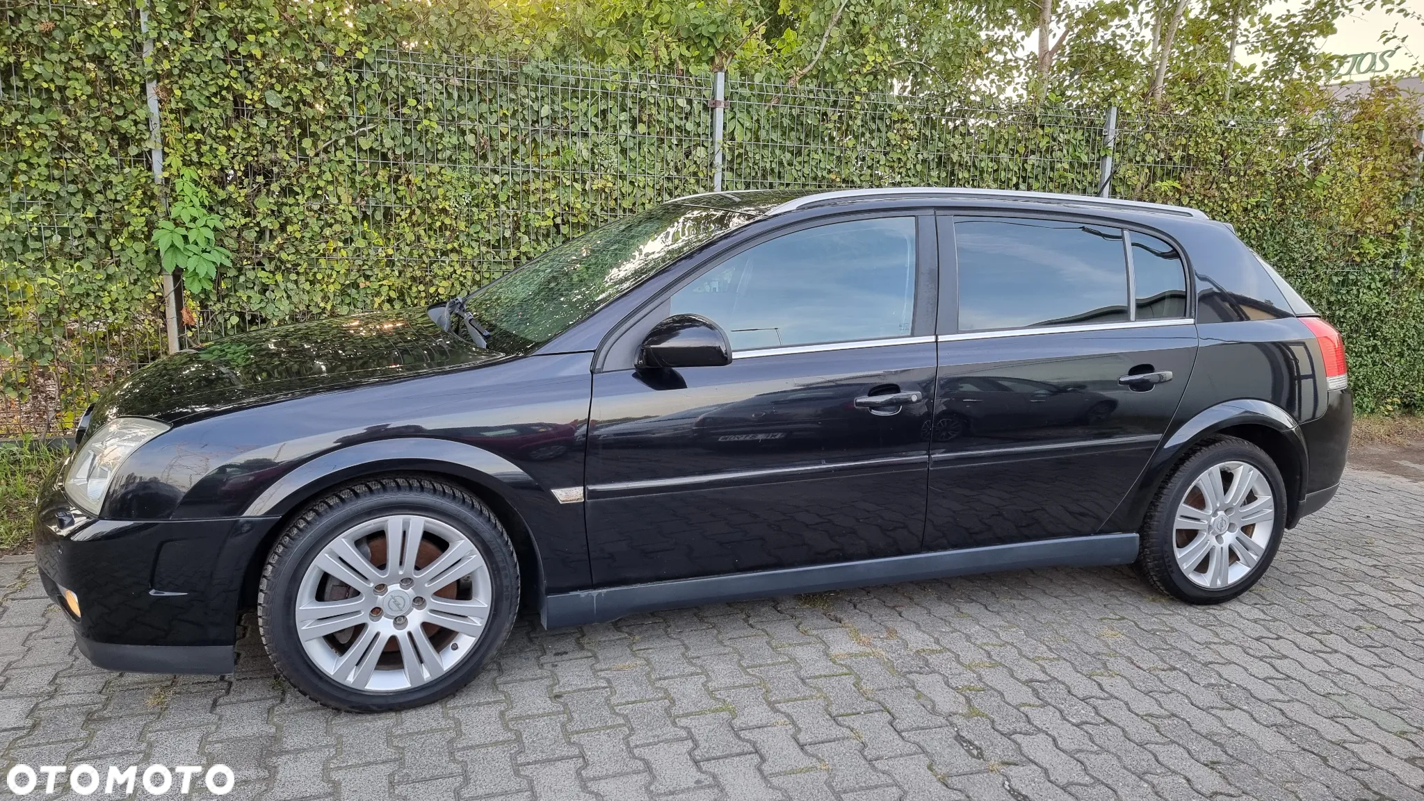 Opel Signum 3.2 Cosmo ActiveSelect - 12