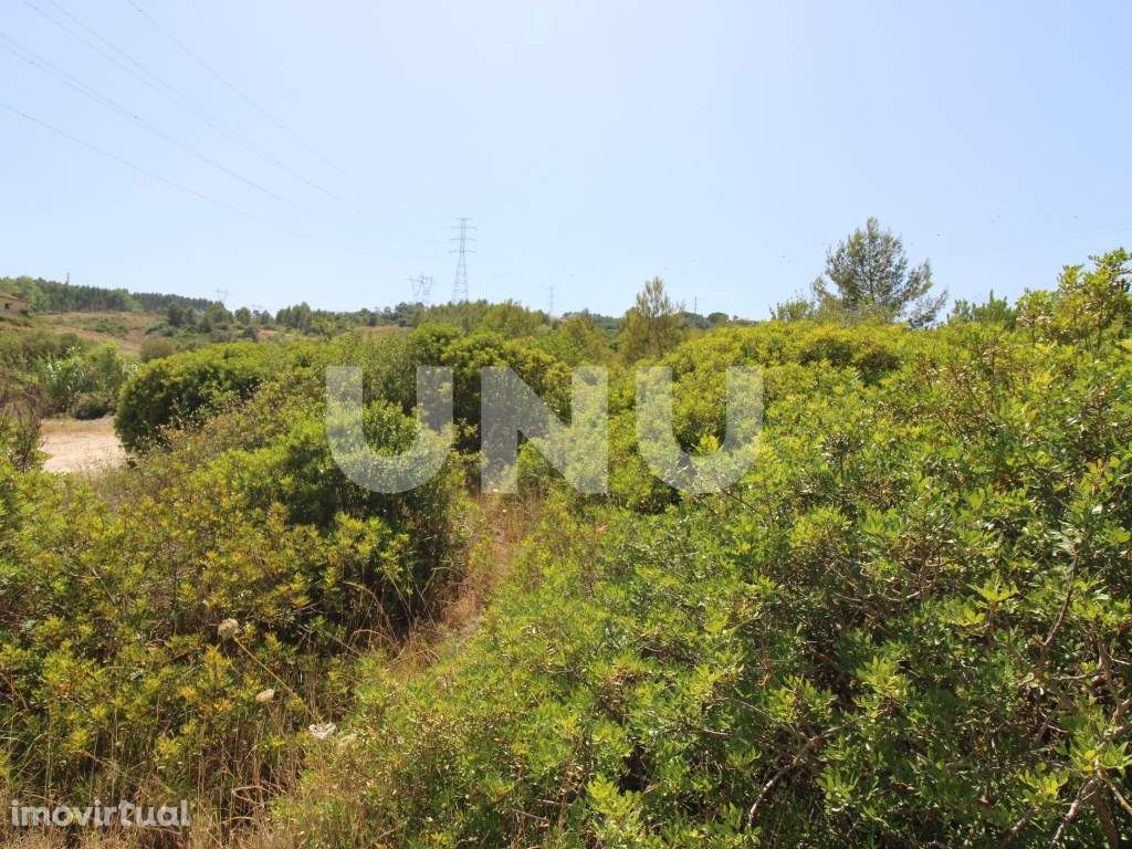 Terreno Rústico em Vila Franca de Xira! - Grande imagem: 4/7