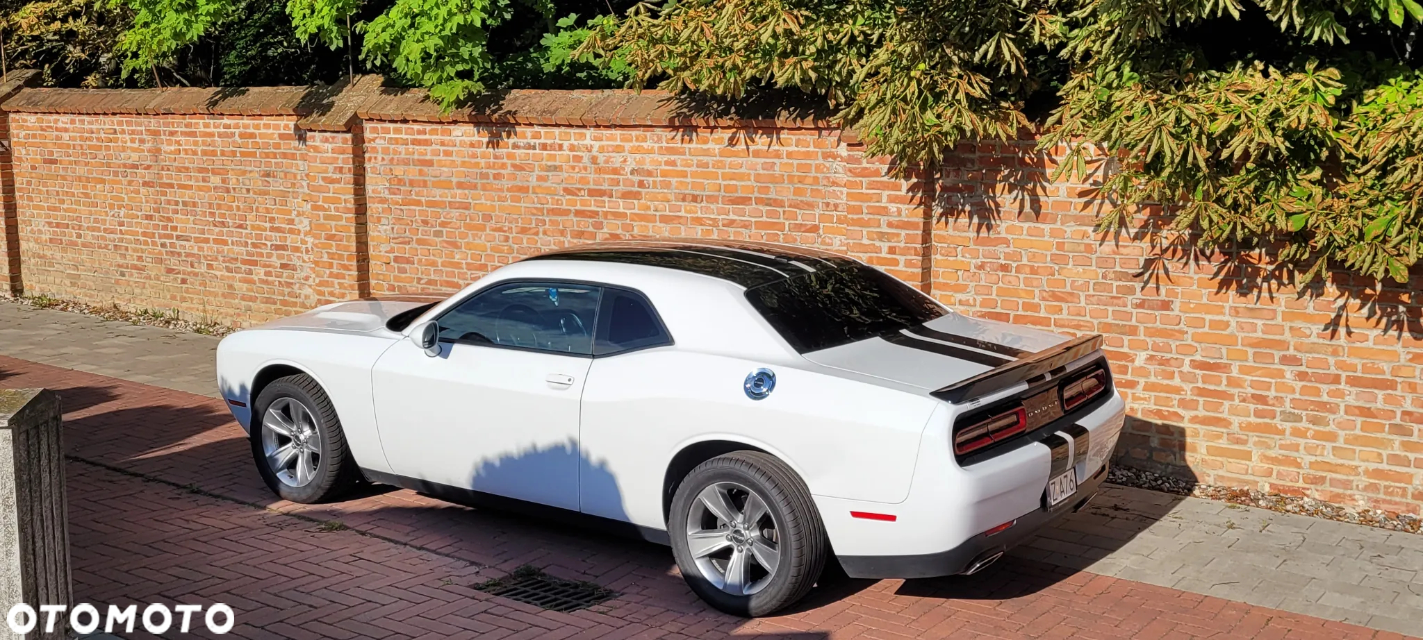 Dodge Challenger - 19