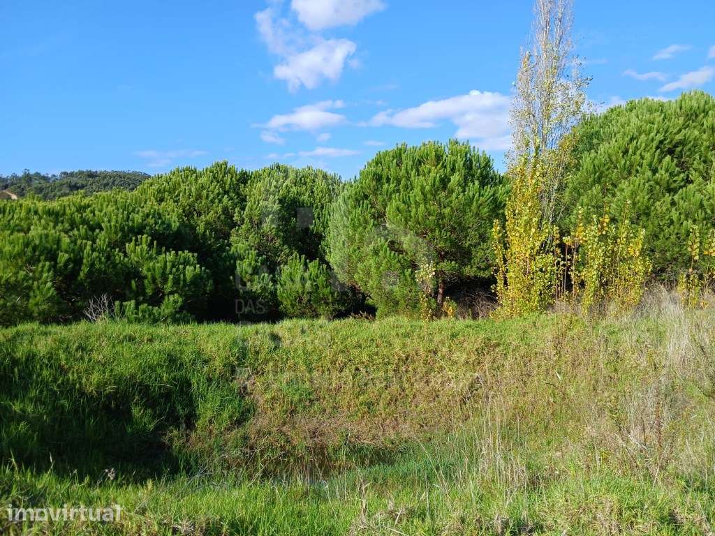Vende Terreno - Ericeira a 6 km, A Casa das Casas - Grande imagem: 5/18