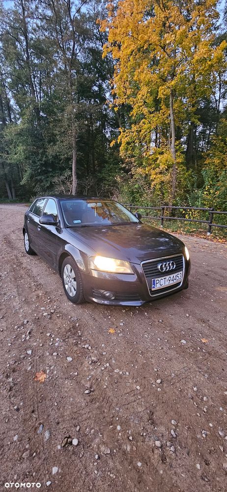 Audi A3 Sportback 1.6 TDI DPF Ambiente - 2