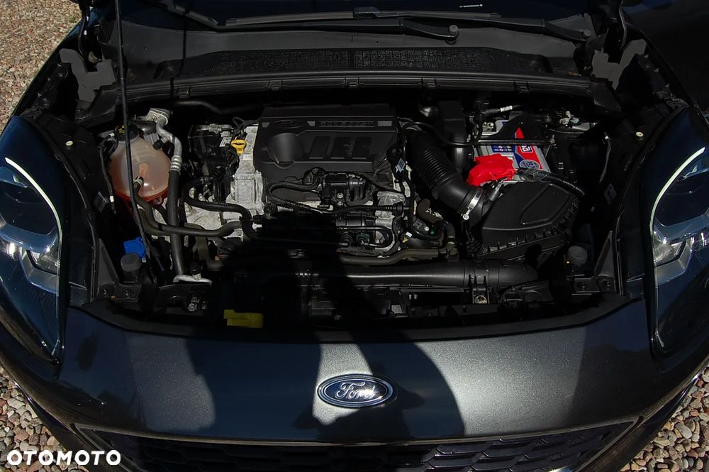 Ford Puma - 31