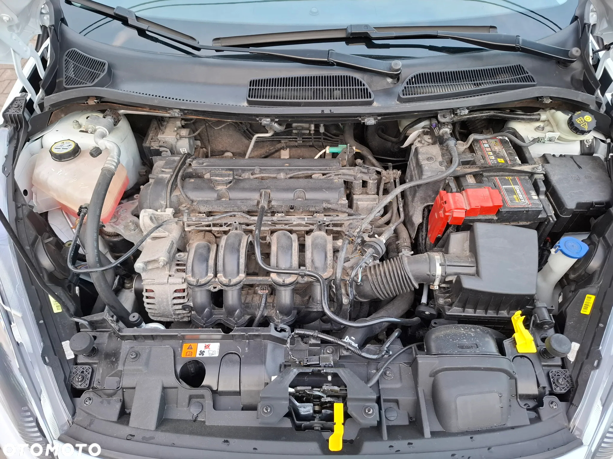 Ford Fiesta - 14