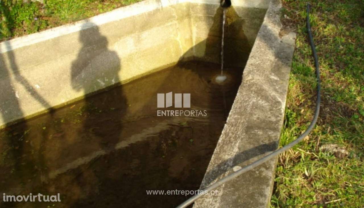 Venda Moradia, Penha Longa, Marco de Canaveses - Grande imagem: 2/9