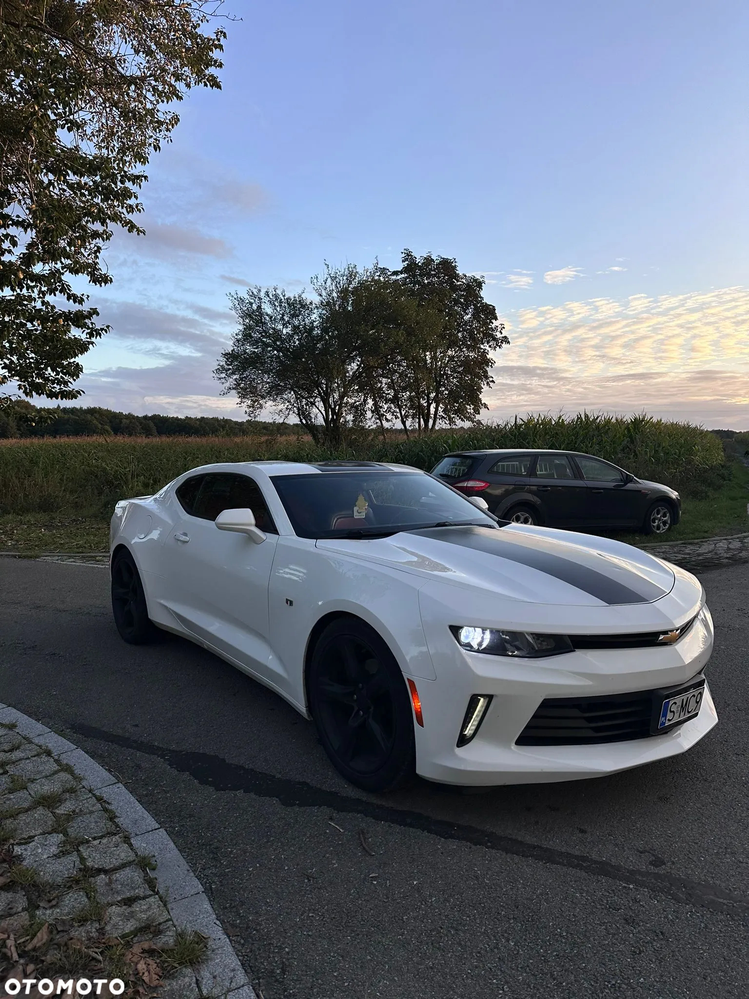 Chevrolet Camaro 3.6 V6 Coupe 2LT - 2