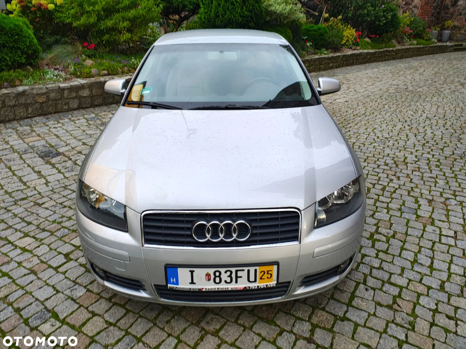 Audi A3 1.6 Ambiente - 5