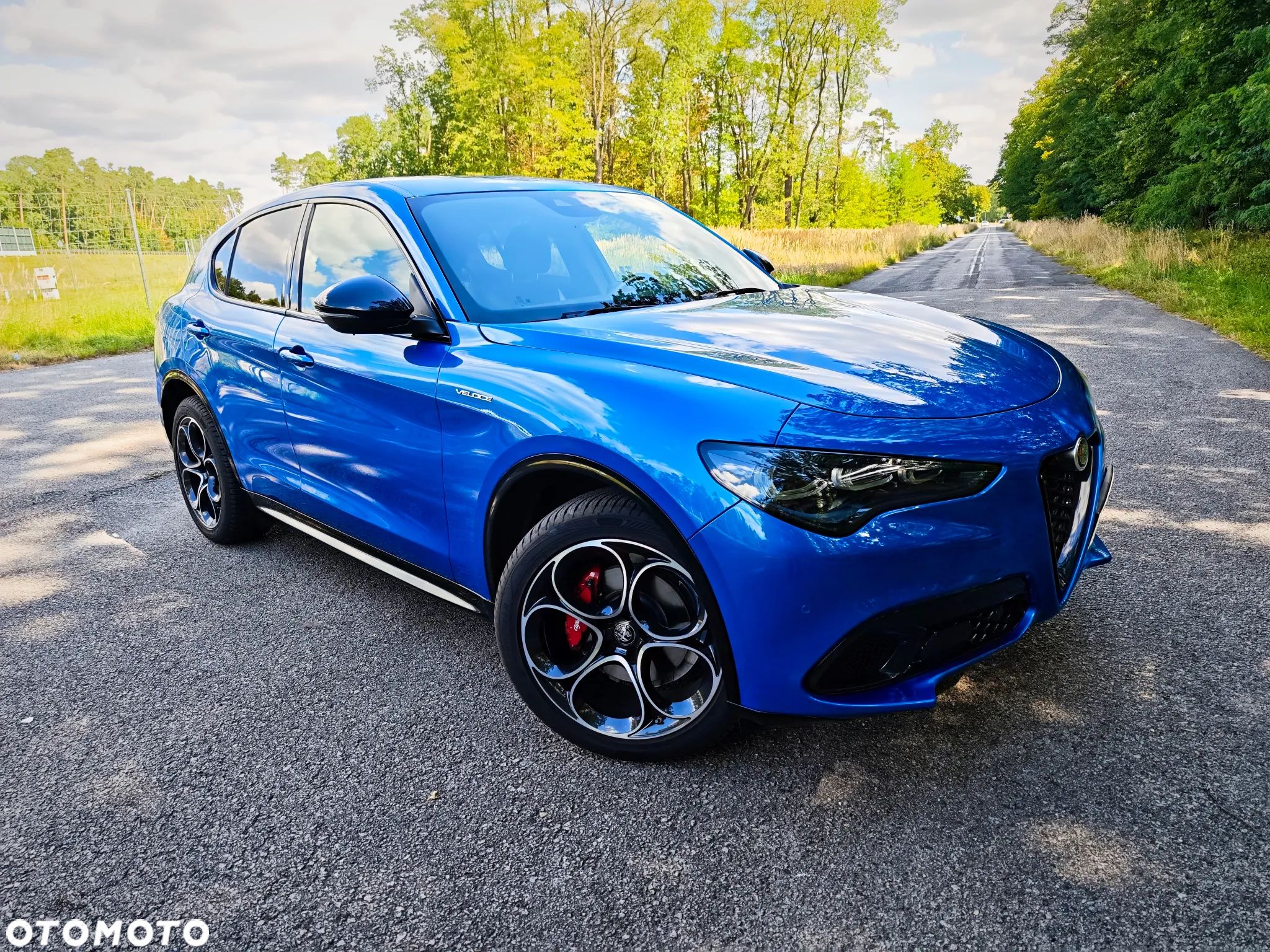 Alfa Romeo Stelvio 2.0 Turbo Veloce Q4 - 1