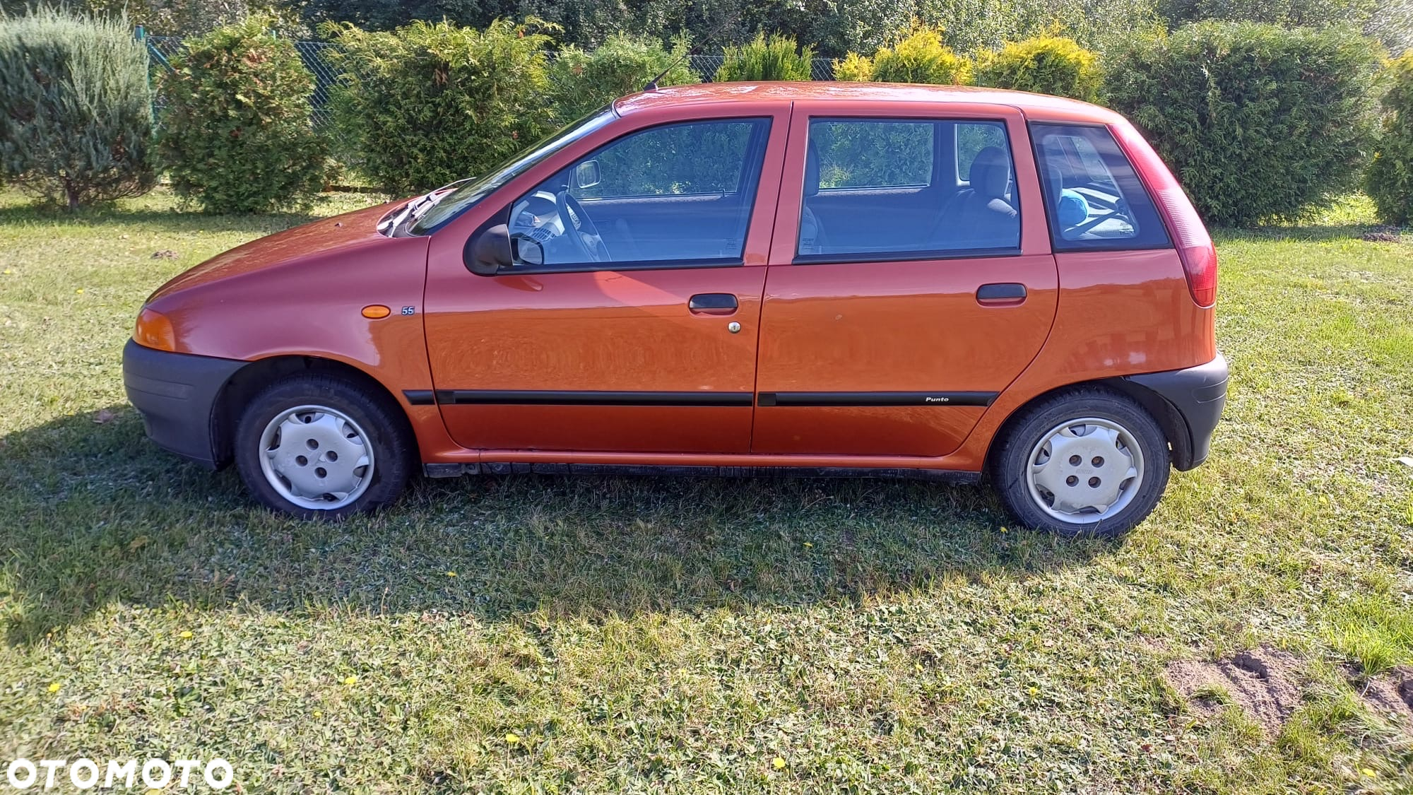 Fiat Punto - 3