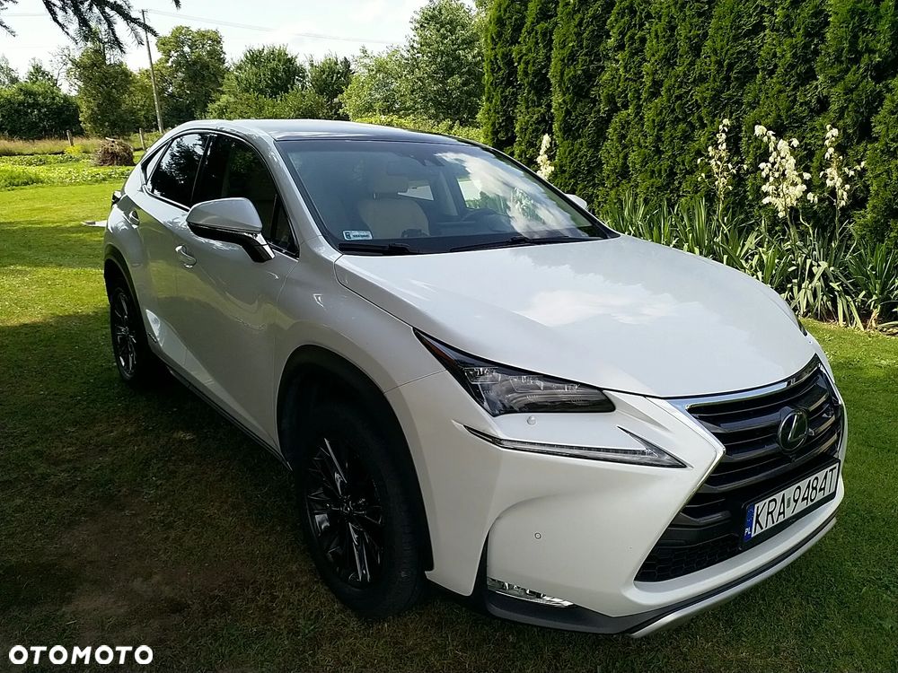 Lexus NX 300h Prestige AWD - 40