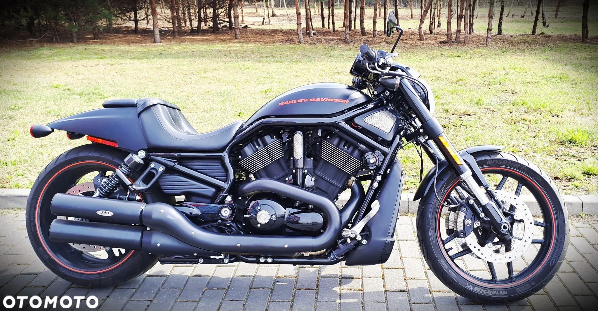 Harley-Davidson Softail V-Rod - 1