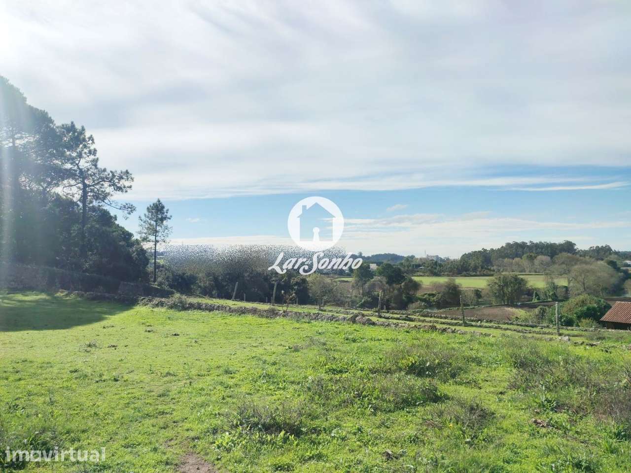 Quinta T7 c/12.000m2 em Touguinhó, Vila do Conde - Grande imagem: 2/26