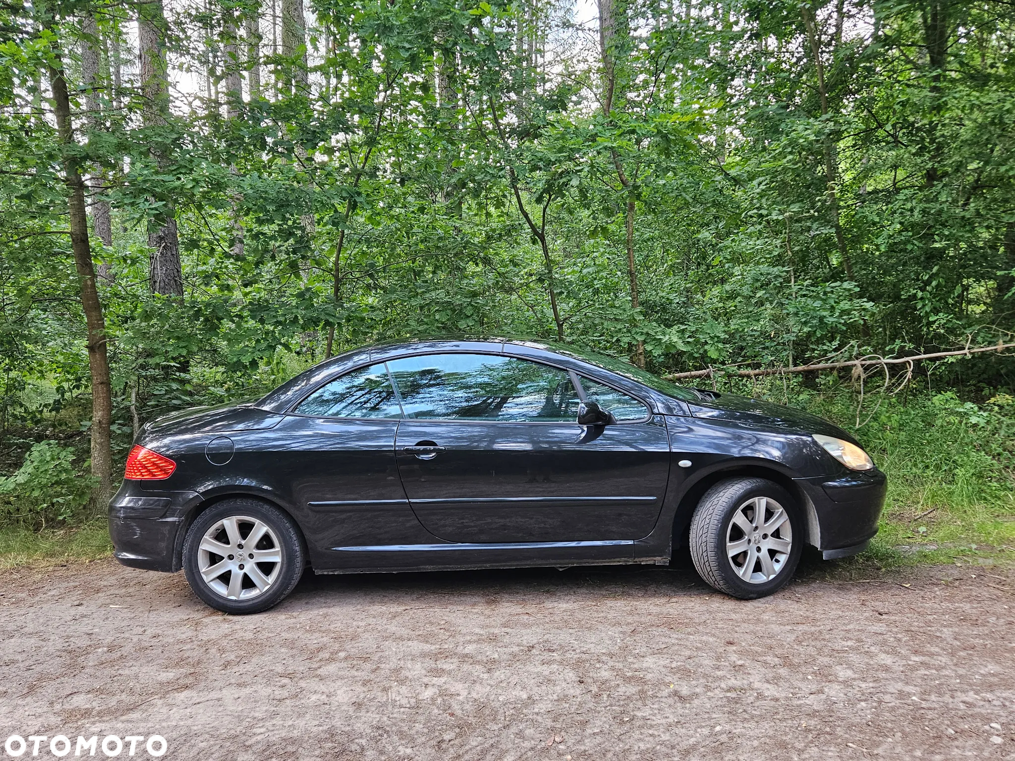 Peugeot 307 CC - 13