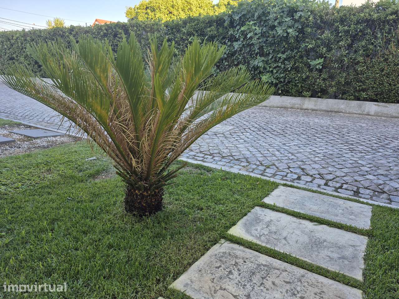 Moradia T5 com piscina e jardim em Azeitão - Grande imagem: 3/60