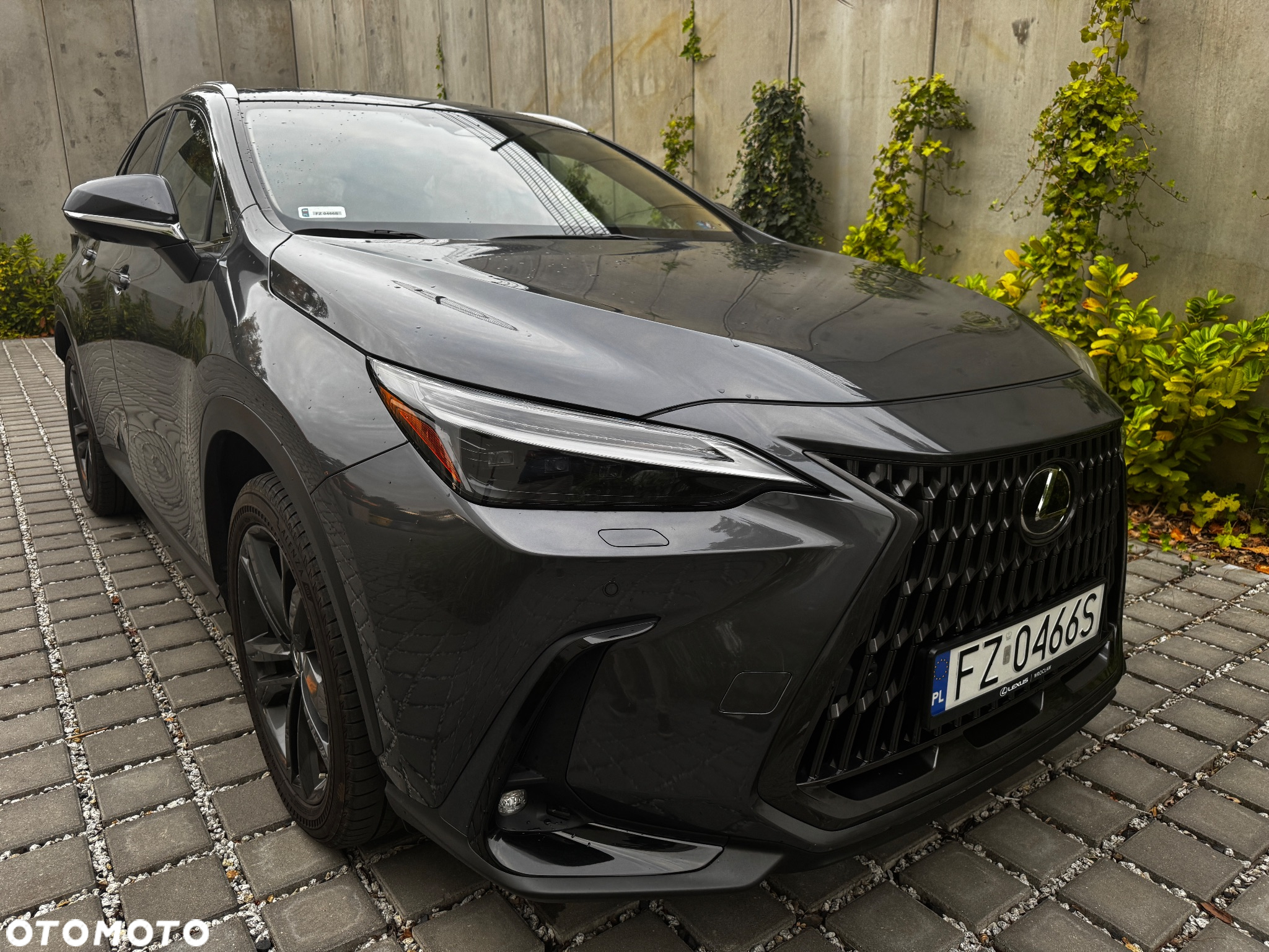 Lexus NX - 2