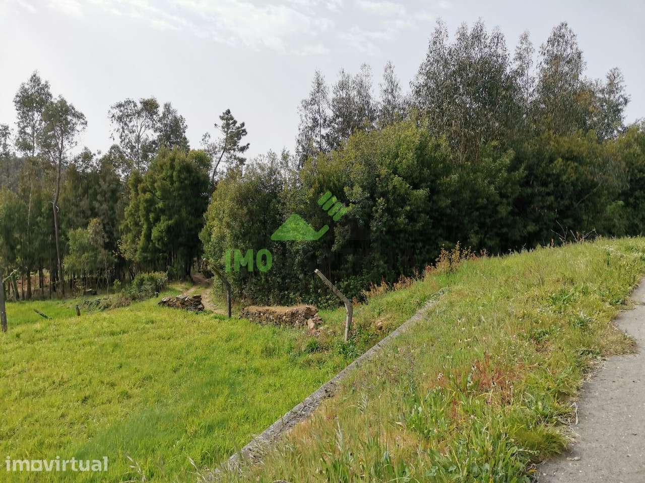 Terreno c/ 9900 m2 no Vale - Grande imagem: 5/11