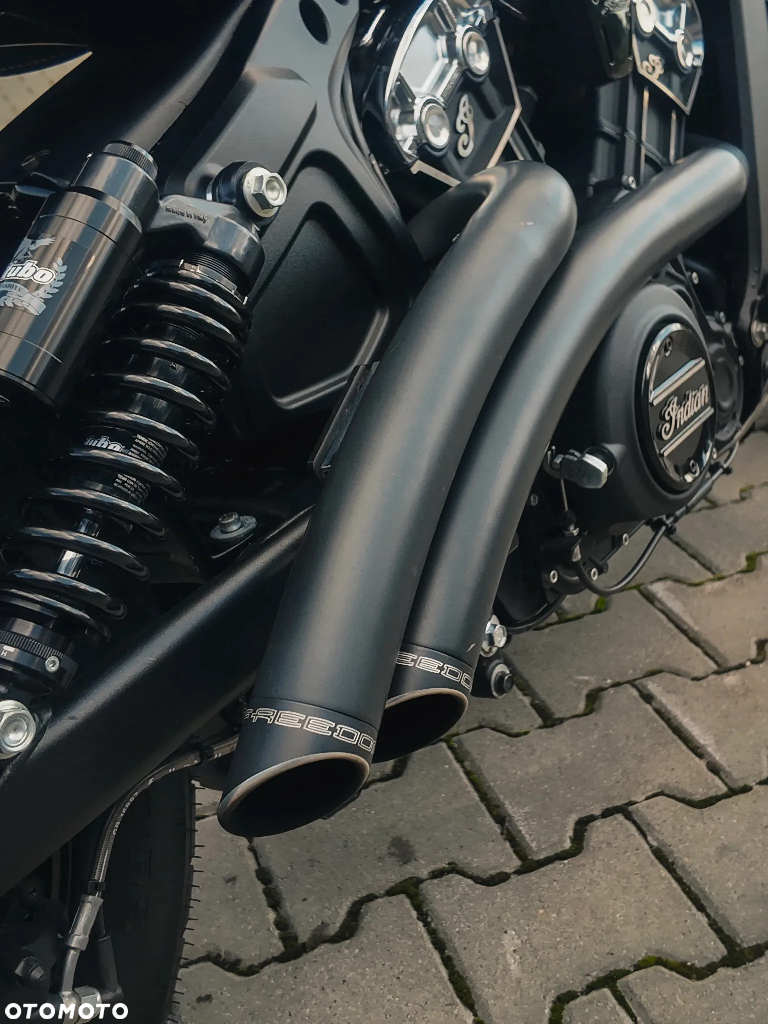 Indian Scout - 8