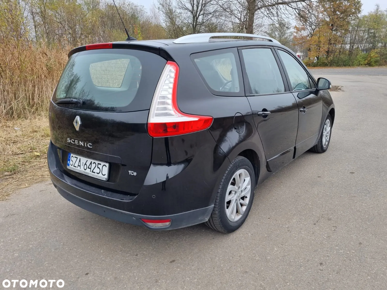 Renault Scenic - 6