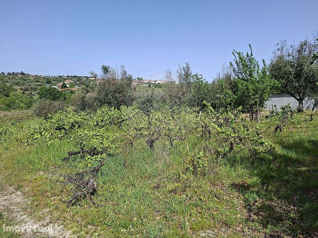 Terreno  para venda - Grande imagem: 3/6