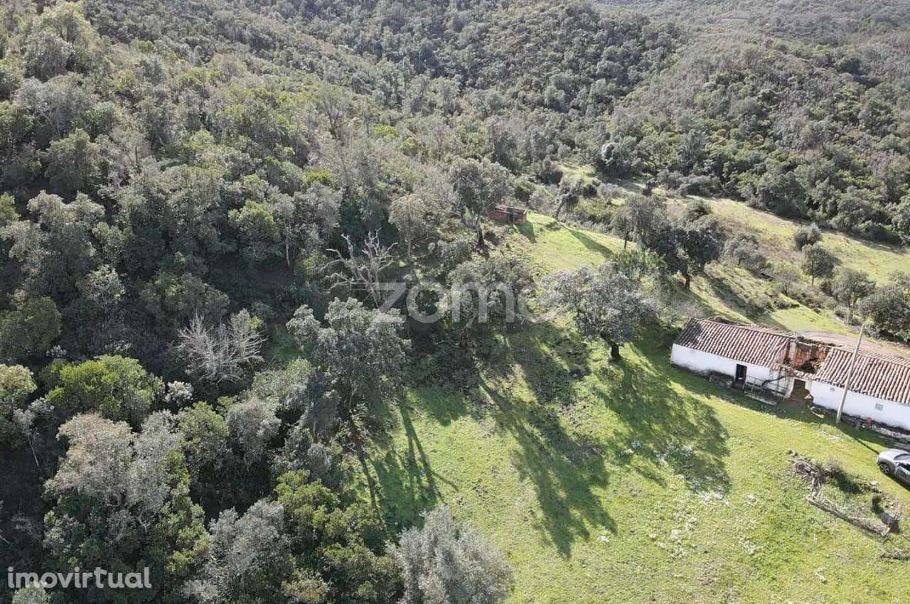Fantástica Moradia para recuperar, em lote de 10.800m2, em Sapeira - Grande imagem: 5/22