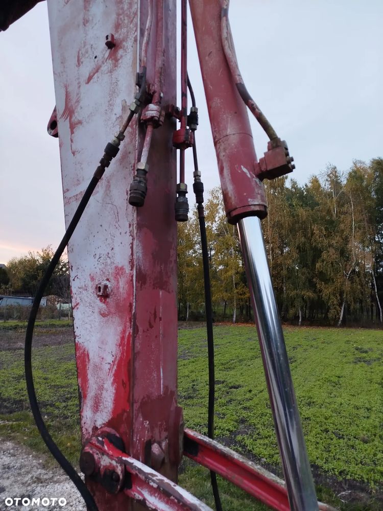 Case 61 błotniak - 18