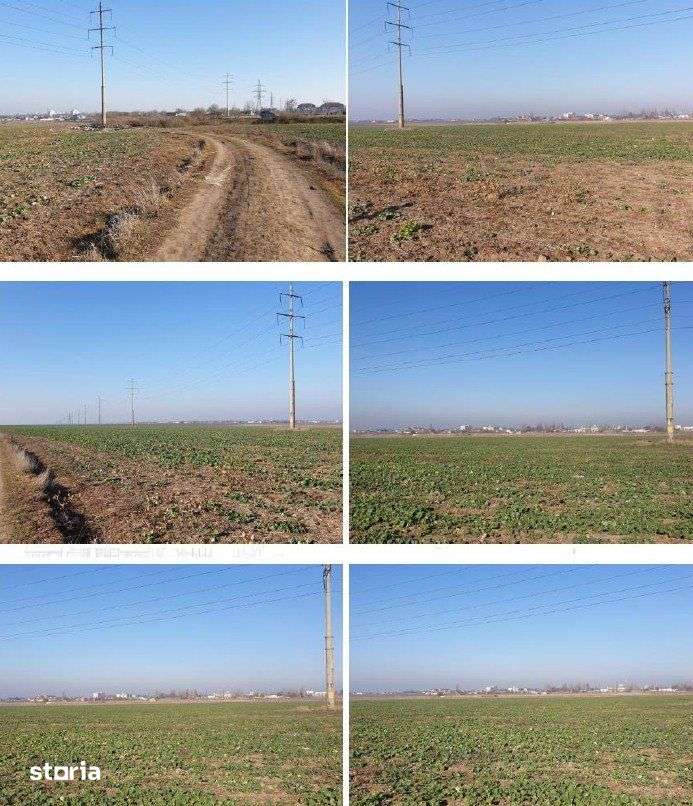BRAILA, Zona Lacul Dulce, Cartier ANL, Teren Intravilan 20,000 MP - Imagine principală: 4/4