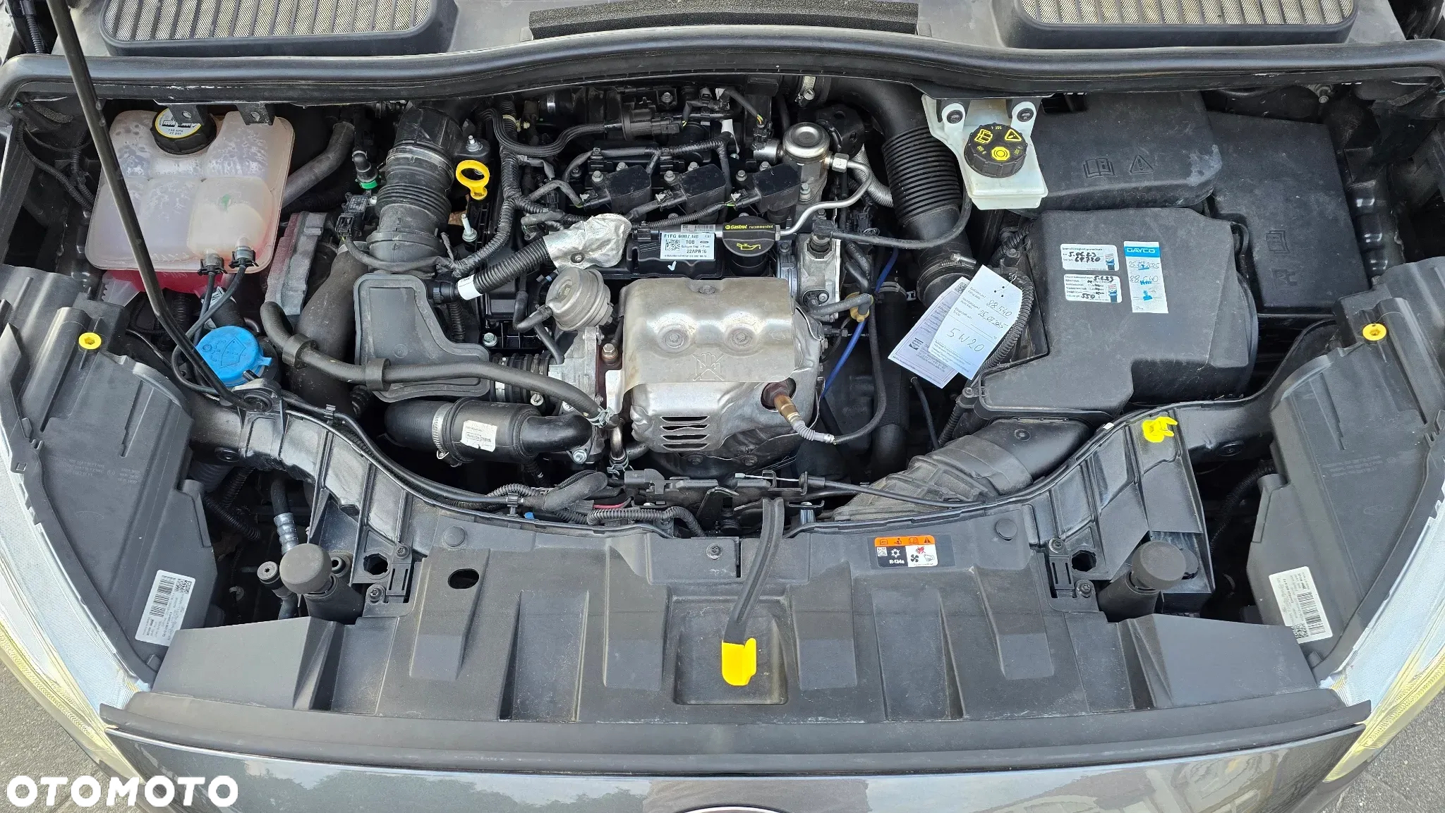 Ford C-MAX 1.0 EcoBoost Titanium ASS - 27