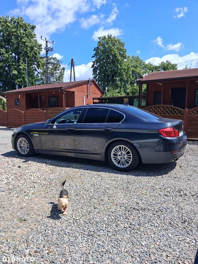BMW Seria 5 518d Modern Line - 8