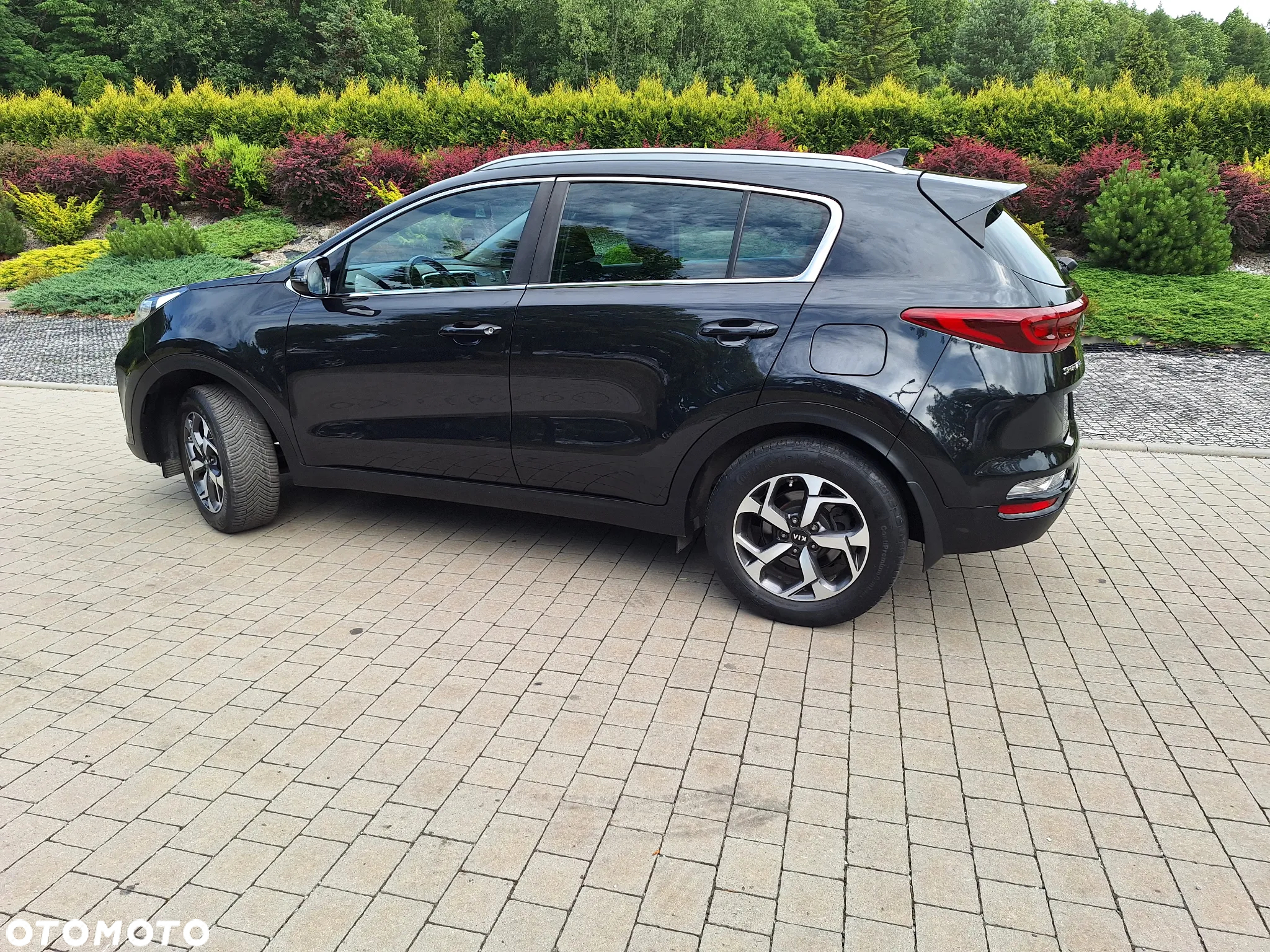 Kia Sportage 1.6 GDI L Business Line 2WD - 30