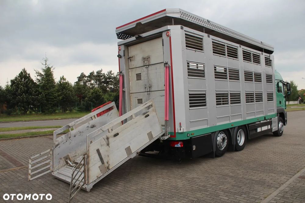 MAN TGS 26.440 DO ŻYWCA ZWIERZĄT BYDŁA Z NIEMIEC - 12