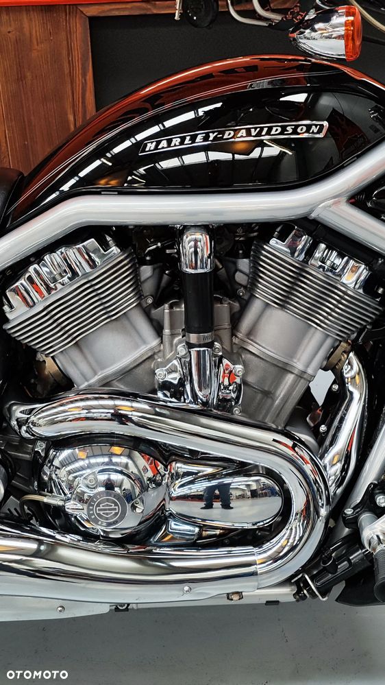 Harley-Davidson Softail V-Rod - 27