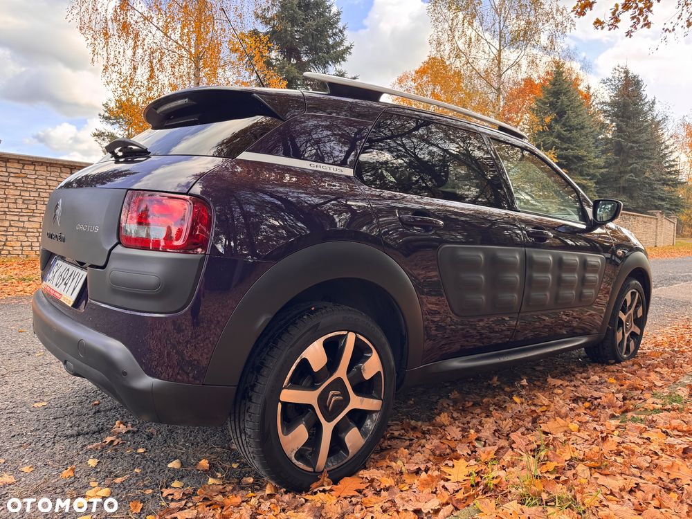 Citroën C4 Cactus 1.2 PureTech Shine S&S - 8