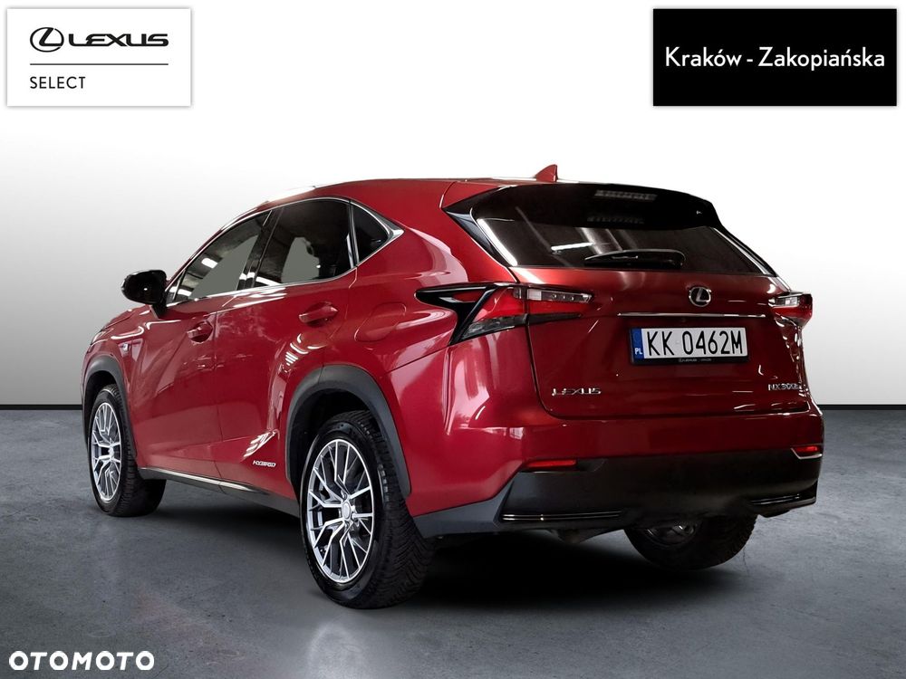 Lexus NX 300h F Sport AWD - 8
