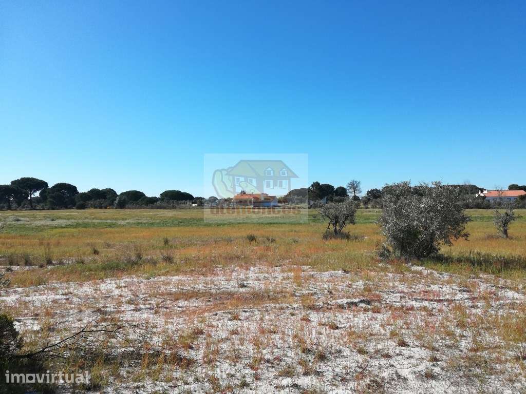 Casa para reabilitar em terreno de 20 hectares - Muda - Grande imagem: 5/9