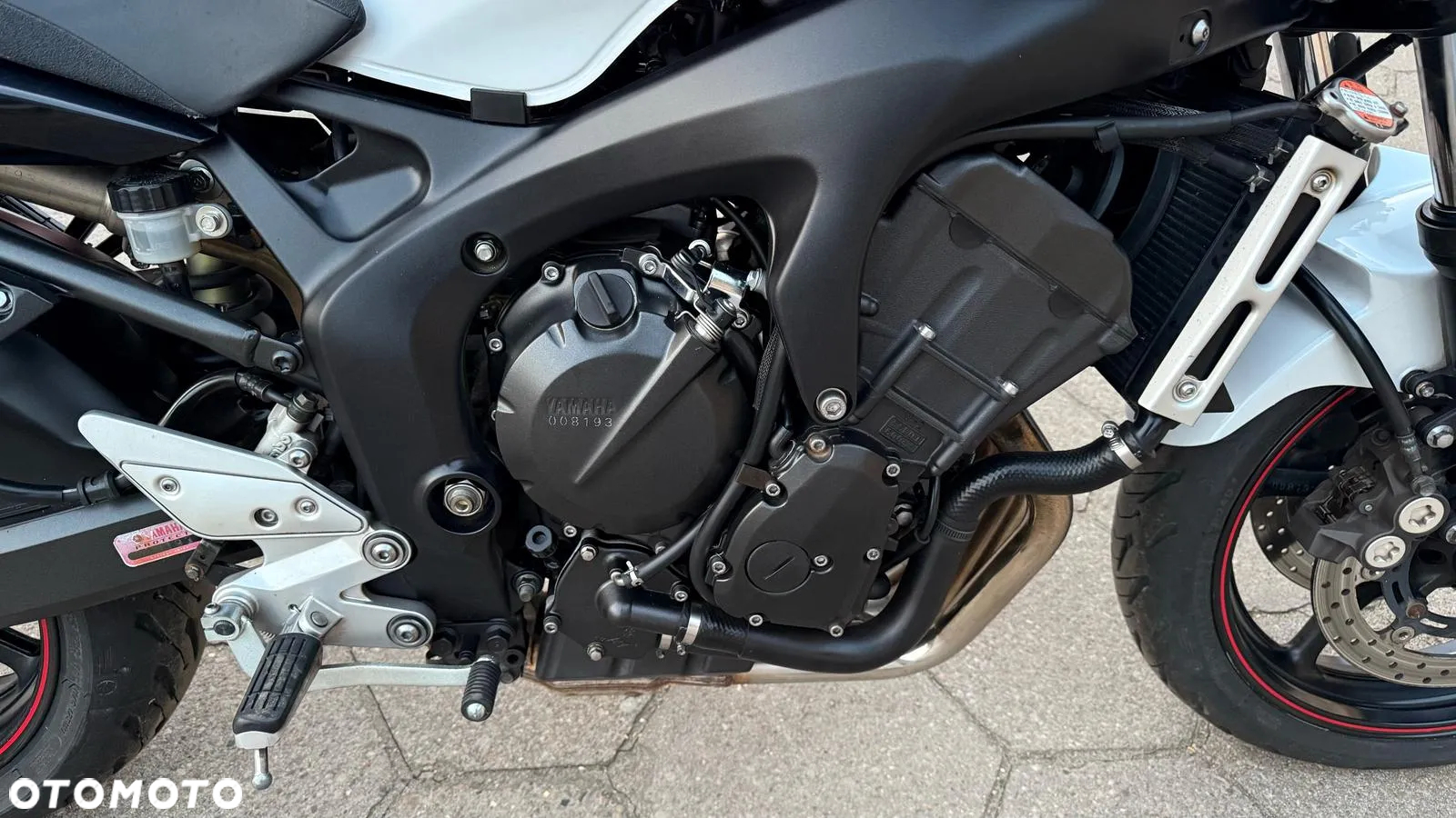 Yamaha FZ6 - 19