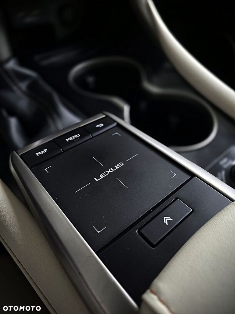 Lexus RX - 28