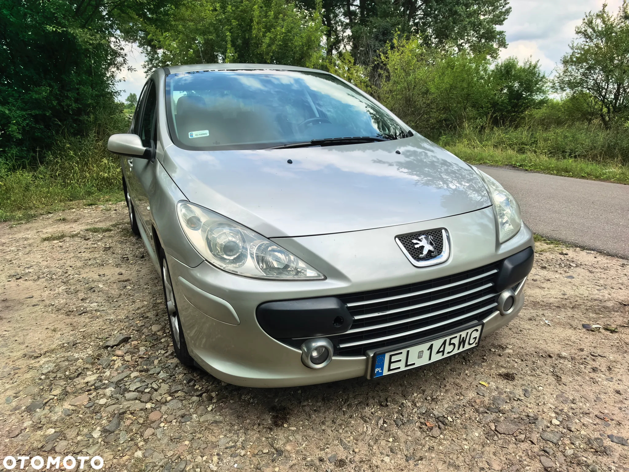 Peugeot 307 1.6 Oxygene - 15