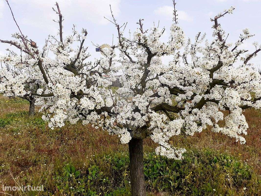Terreno  para venda - Grande imagem: 4/28