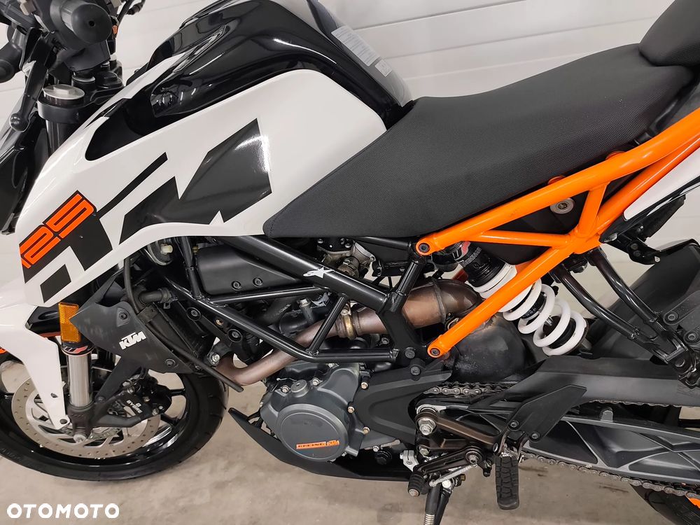 KTM Duke - 7
