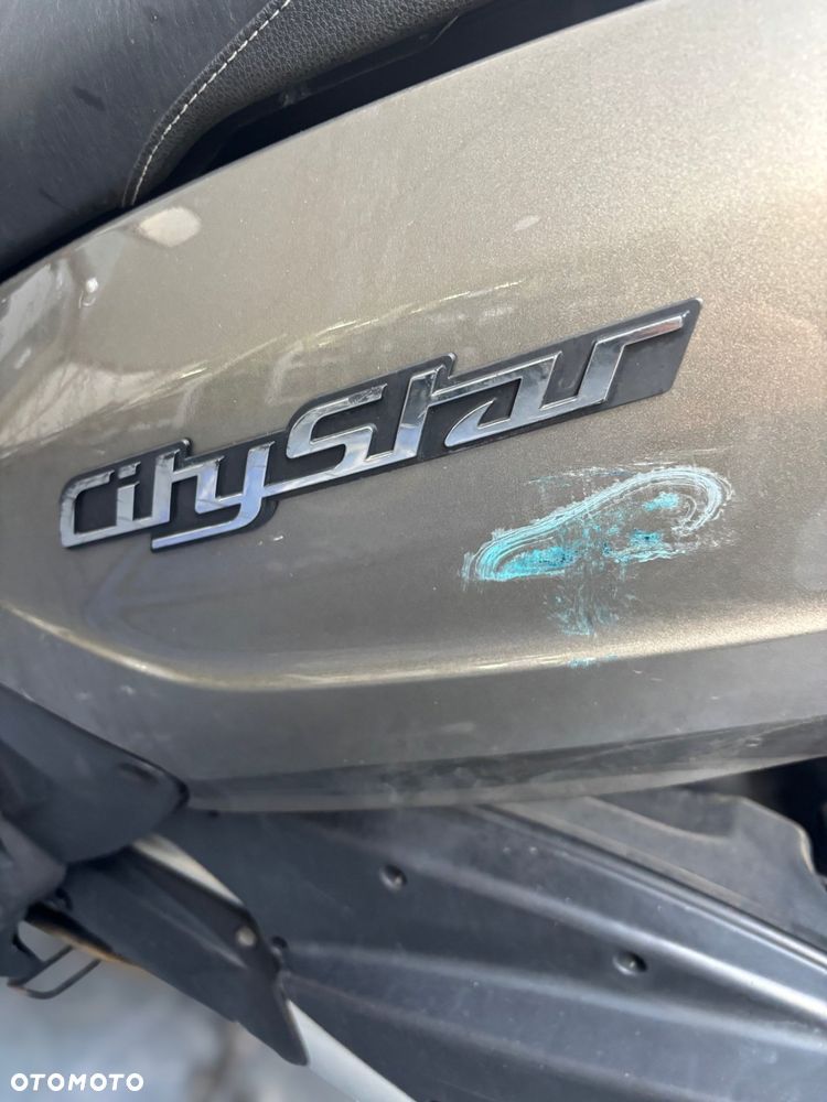 Peugeot Citystar - 13