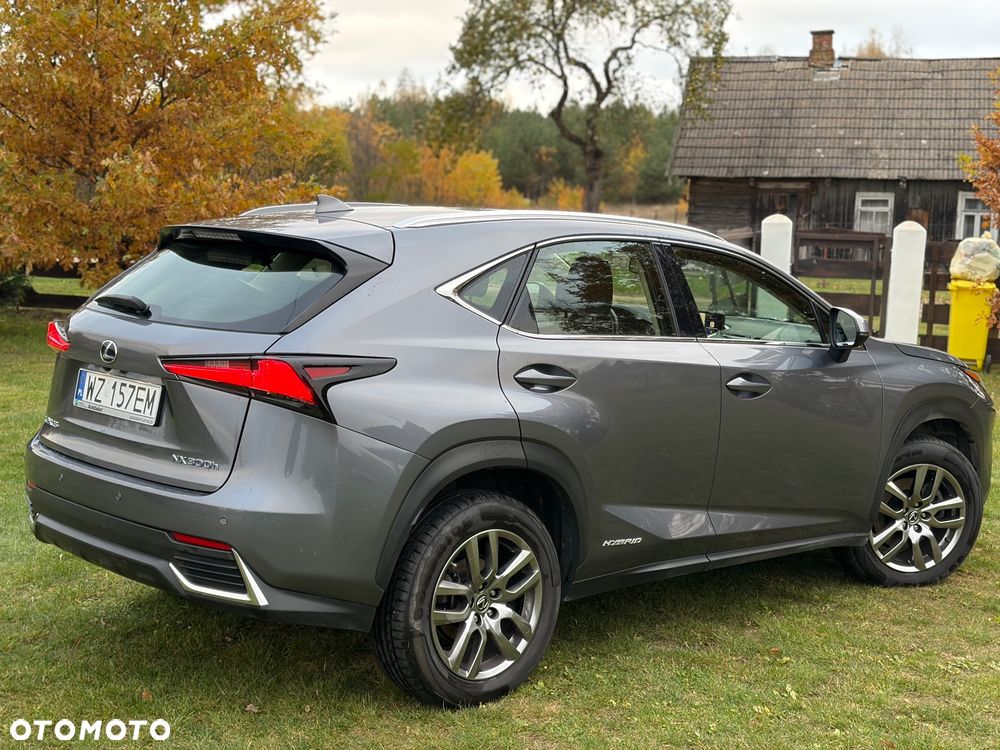 Lexus NX - 13