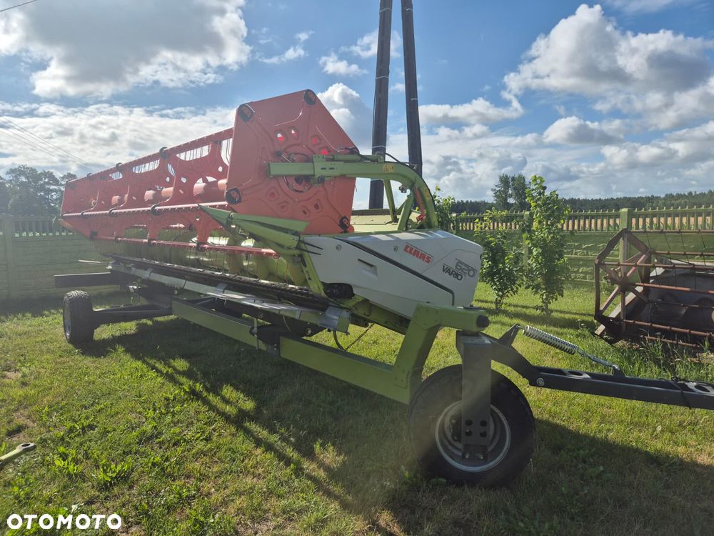 Claas Tucano 440 z hederem Vario 620 i przystawką do kukurydzy Olimac - 26