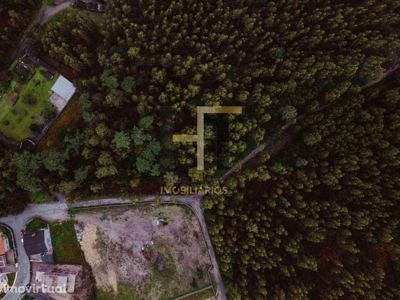 Terreno Rústico | 4.250m² em Gemunde | Oportunidade Única de Invest - Grande imagem: 5/13