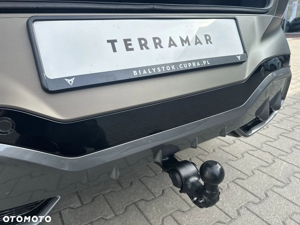 Cupra Terramar 2.0 TSI 4Drive Advantage Edition DSG - 19
