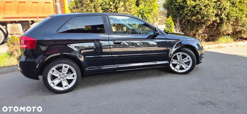 Audi A3 3-drzwiowe 1.6 Limited Edition - 16