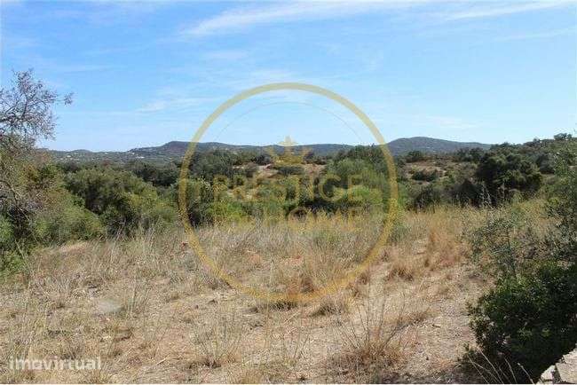 Quinta com cerca de 3979 m2 com área de construção de cerca de 1600m2 - Grande imagem: 3/15