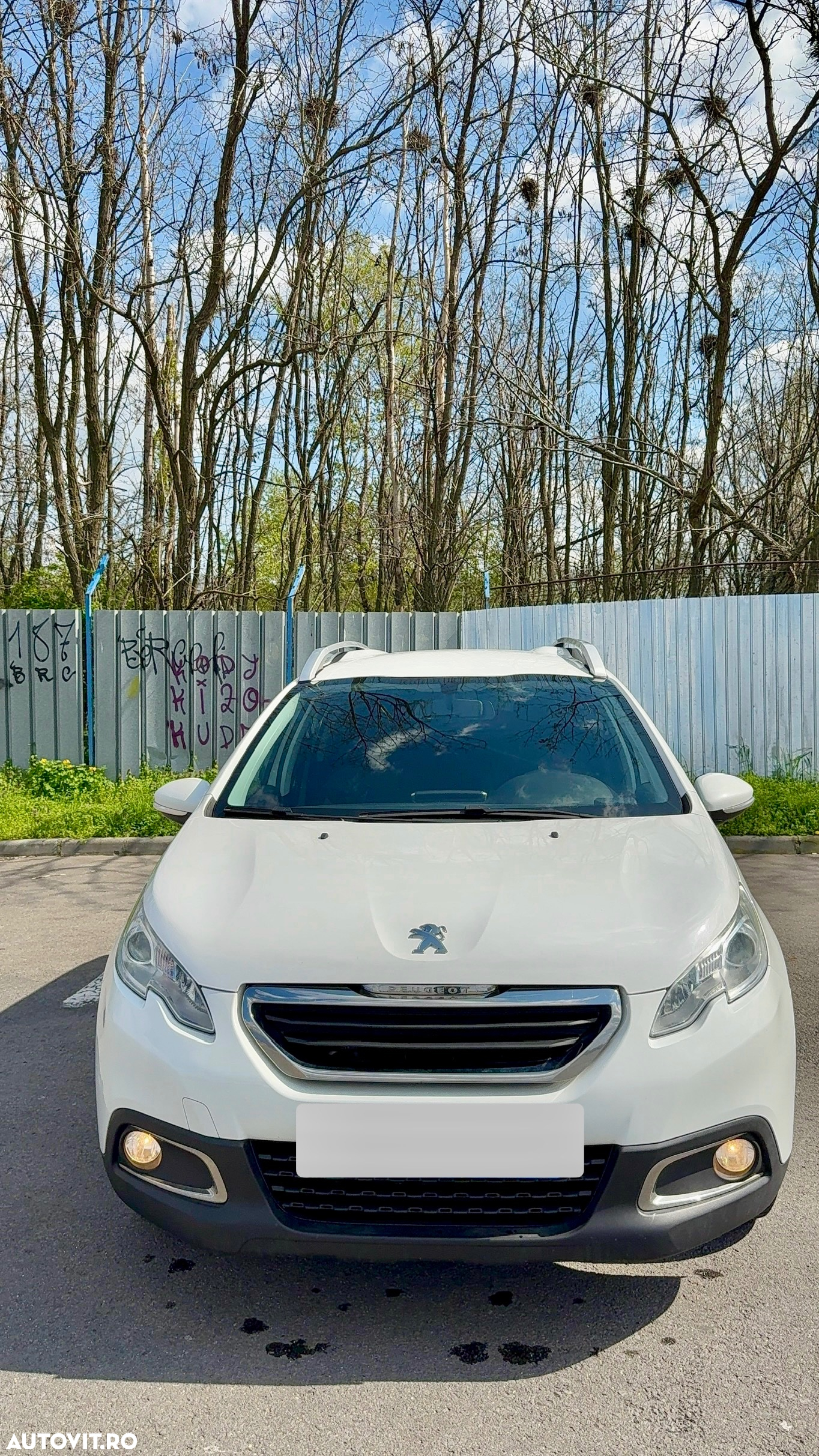 Peugeot 2008 1.6 BlueHDi FAP Active - 14