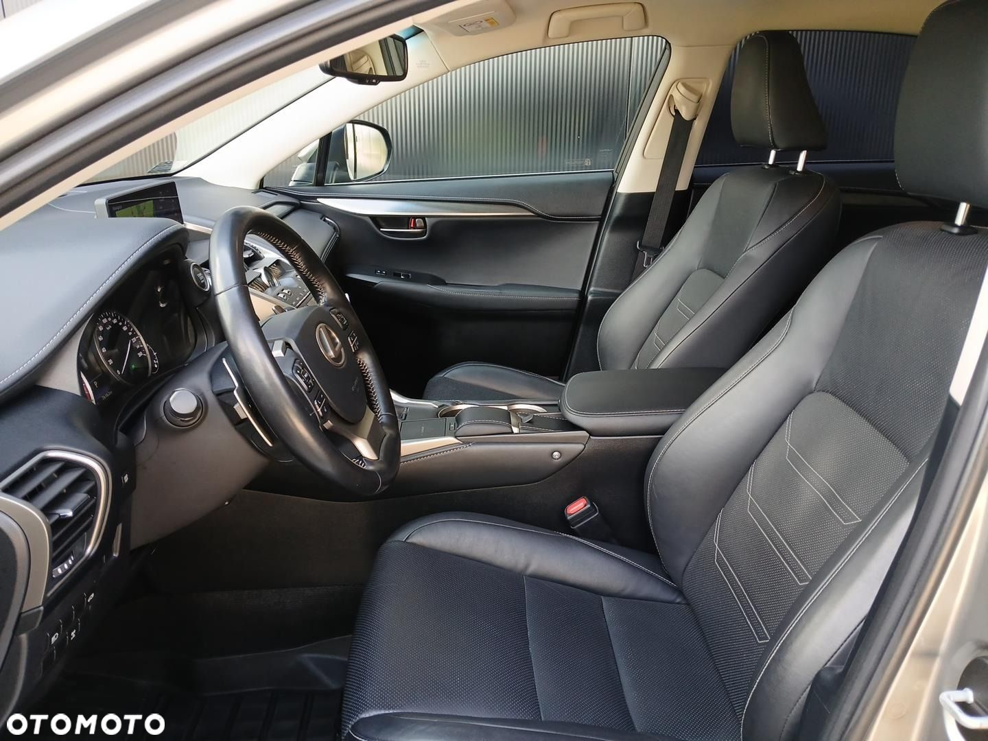 Lexus NX - 10