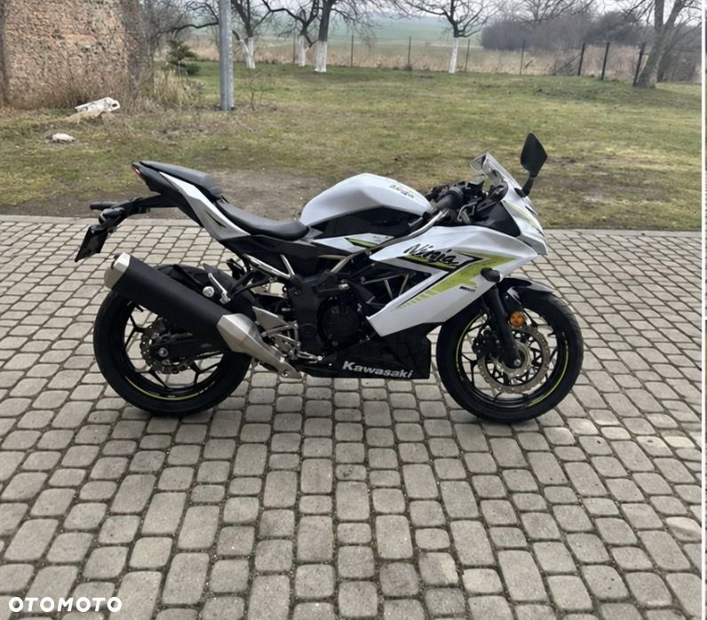 Kawasaki Ninja - 2